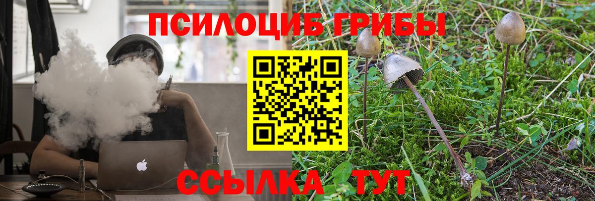 Искитим  Псилоцибиновые грибы мицелий  Вход с VPN  купить наркотики сайты  Галлюциногенные грибы Psilocybine cubensis 